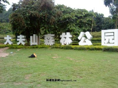 大夫山大夫山森林公园