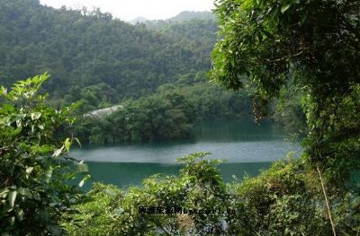 鼎湖山蝴蝶谷原始雨林