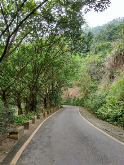 深圳塘朗山郊野公园