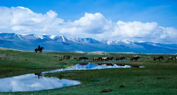 2024年7月份去新疆旅游热不热1