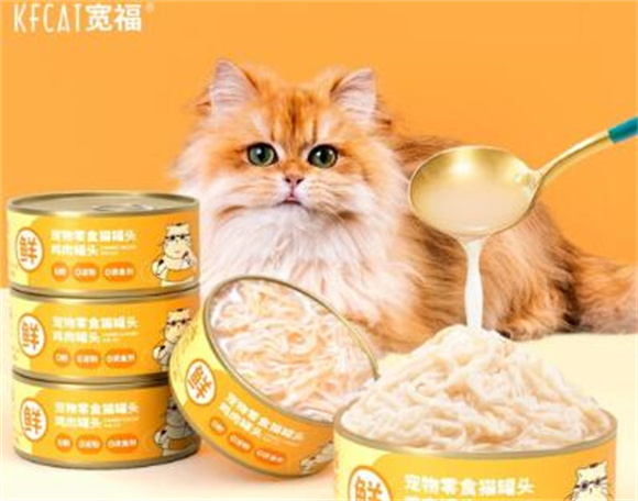 宽福猫罐头：满足猫咪的口味需求，让它爱上喝水